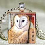 Barn Owl Scrabble Pendant With Necklace And..