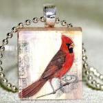 Cardinal Scrabble Pendant With Necklace And..